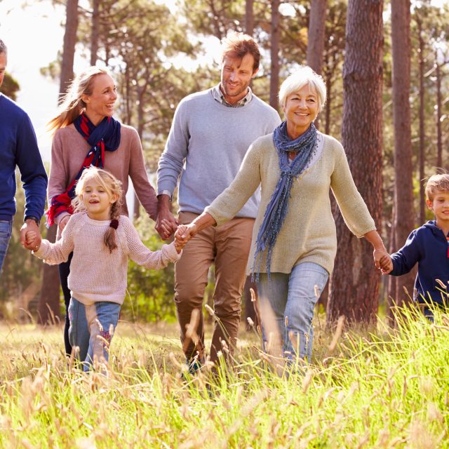Multigenerational family holding hands National Will Register Logo