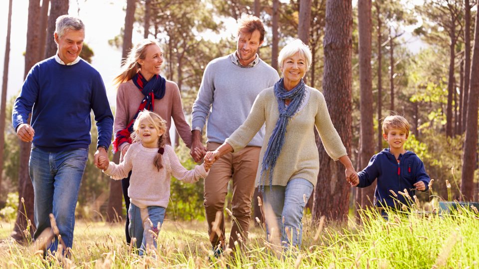 Multigenerational family holding hands National Will Register Logo